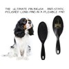 #1 All Systems Professional Grooming Kit for Cavalier King Charles