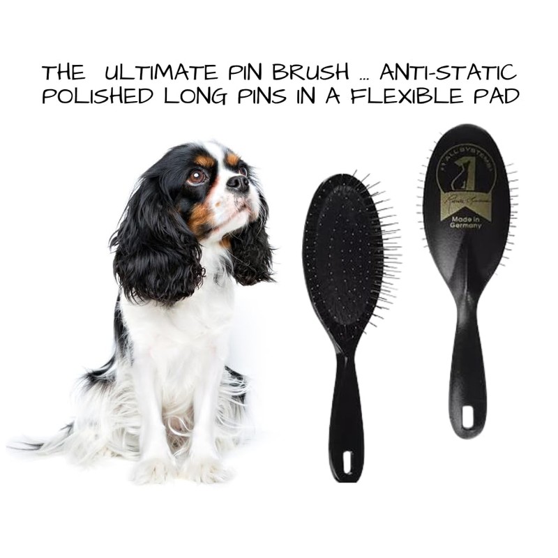 #1 All Systems Professional Grooming Kit for Cavalier King Charles
