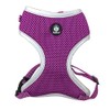 Huskimo Easyfit Dog Harness in Aurora - Small