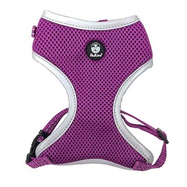 Huskimo Easyfit Dog Harness in Aurora - Small