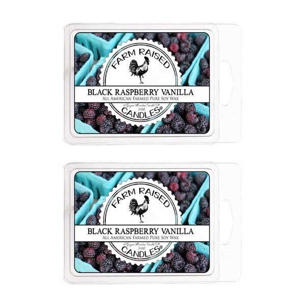 Black Raspberry Vanilla 2 Pack 12 Cubes 6 Ounces Total Scented Flameless Soy Wax Melts 100% Natural American Farmed Soy Wax. Premium Fragrance Oils, Smokeless Candles, Vegan Friendly