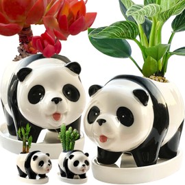 KEEPPACE 2PC Panda Bamboo Planter Pots-5.7 Inch Ceramic Animal Planters | Succulent Pots & Drainage Tray-Lucky Bamboo Plant Pots Flower Pots Indoor-Air Plants-Cactus Planters-Garden Home Decor