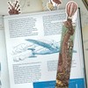 HUNGRY MINDS Hand-Drawn Octopus Bookmarks Set of 5 - Paper