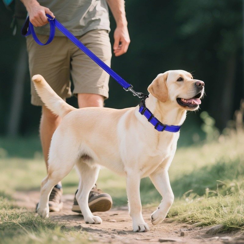 Joytale Reflective Dog Collar, Soft Neoprene Padded, Metal D-Ring, Nylon