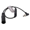 SZRMCC XLR 4 Pin Male to Locking DC Plug Regulated