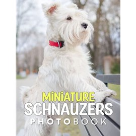 Miniature Schnauzers Photo Book: Friendly Type of Dogs for Anyone to Love Animal | Decor as Gifts with 40+ Pages High Quality Pictures for Relaxation