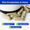 ATLEMISME Empty Capsules Size 1 500 count,Clear Empty Vegan Capsules