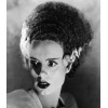1935 THE BRIDE OF FRANKENSTEIN ELSA LANCHESTER  8x10 classic PHOTO 1  !!!