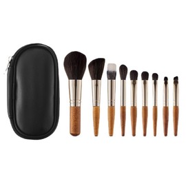 XFSRG 9 Piece Brush Set Make Up Brush Set Makeup Brush Kit Soft Portable Brush Travel Size Cosmetic Bag Cosmetic Brush Set for Travel