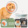 Cat Cone Collar Soft: Comfortable Waterproof Mesh Recovery Cone After