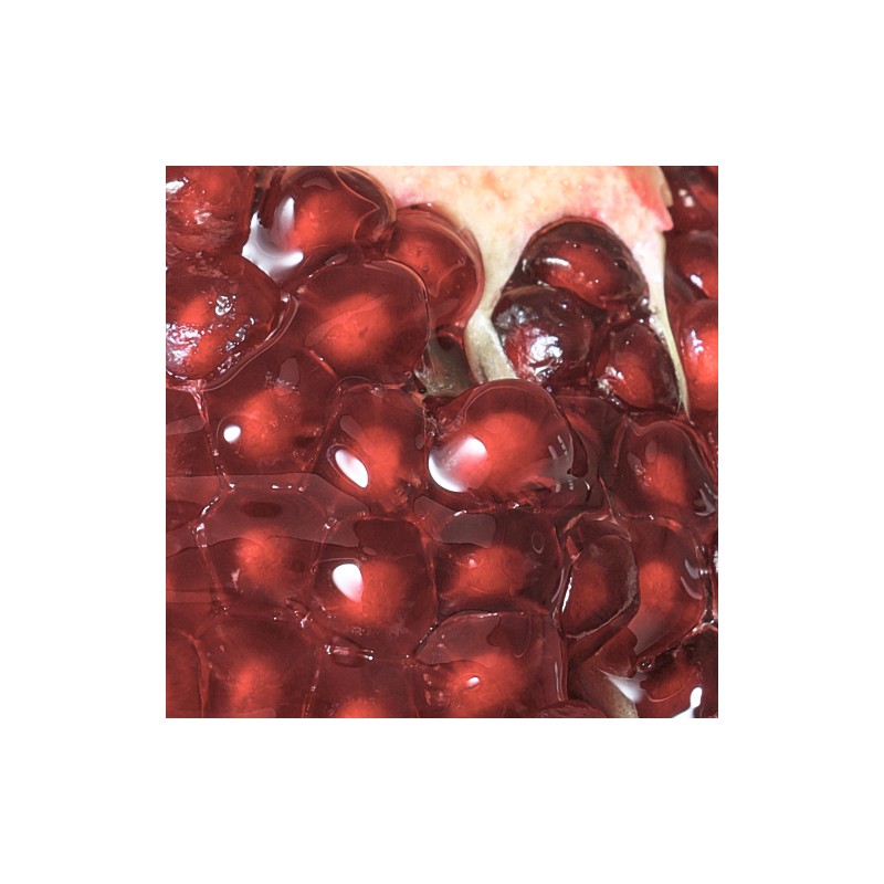 nesh [nesh]Pomegranate Biome Oil Serum 80ml