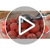 Cuchara Para Helado con Palanca, Acero Inoxidable 304, Mango Antideslizante