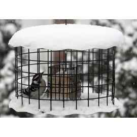 Erva Large Squirrel Proof Bird Feeder - Fits 2 Suet Cakes to Attract A Variety of Birds - Made in The USA