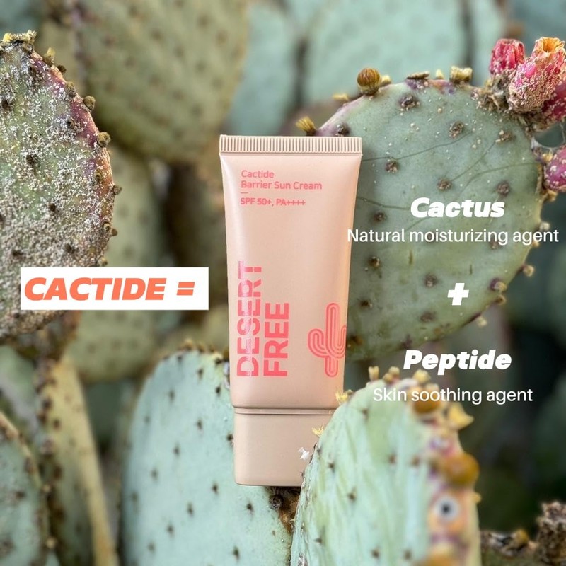 DesertFree Broad Spectrum Sunscreen SPF 50 with Aloe Vera &