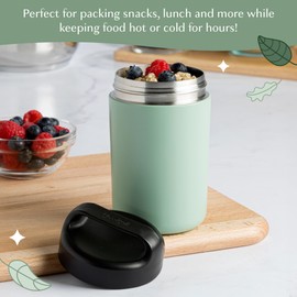 Goodful Stainless Steel Food Jar, Double Wall Vacuum Sealed Insulated Food Storage Container with Carry Handle Lid, 16-Ounce, Sage