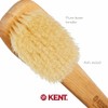 Kent FD5 Bath Brush by Kent