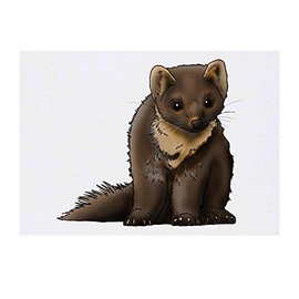 Azeeda 'Baummarder' Temporäres Tattoo - Hautfreundlicher & Ungiftiger Abziehbild · Wasserfest (TO00040800)