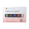 Dazzle Dry Mini Flight - Everyday Muse - 5 Mini