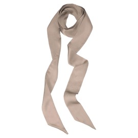 PATIKIL Stylish Ribbon Scarf, Solid Color Skinny Scarf Pure Long Neckerchief Silk Necktie Belts Sash Hair Scarves Headband Ribbon Tie for Women, Coffee
