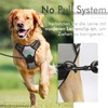 rabbitgoo Dog Harness for Medium Dogs, Anti-Pull Dog Harness with