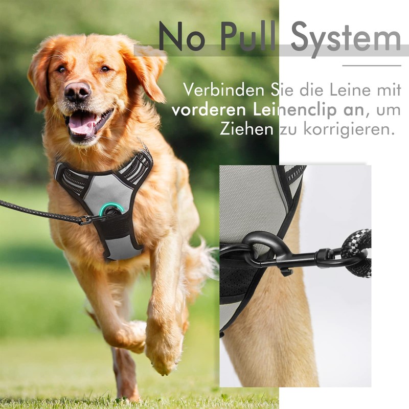 rabbitgoo Dog Harness for Medium Dogs, Anti-Pull Dog Harness with