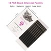 HIFORNY 12 Pieces Charcoal Pencils Drawing Set - Super Soft,Soft,Medium