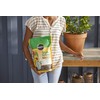 Miracle-Gro Shake 'n Feed Citrus, Avocado and Mango Plant Food