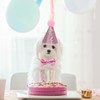 Xugoox Dog Birthday hat and Bowknot Set, 4Pcs Pet Dog