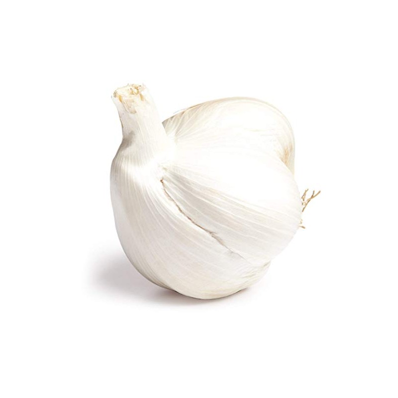 Christopher Ranch, Garlic Elephant, 1 Each