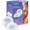 Lansinoh Nursing Pads Stay Dry 60 Each ( Pack of