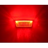 Prophete Bike Light for E-Bikes Only, LED Tail Light with