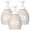 iClean Premium Clean Vegan Foam Hand Soap, 450ml, 3 pieces / 아이깨끗해 프리미엄 클린 비건 폼 핸드솝, 450ml, 3개