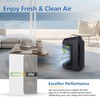 116130 Replacement Filter H Compatible with Winix 5500-2 Air Purifier