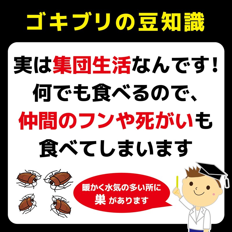 KINCHO コンバット ゴキブリ殺虫剤 大型容器 4個入