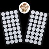 Synthetic Filter Paper Stickers 20 mm 0.3 μm Filter Disc