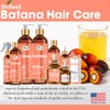 Difeel Batana Conditioner 12 Ounces - Sulfate Free Conditioner