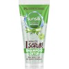 12x Sunsilk, Detox-Shampoo, Aloe Vera-Haarpeeling, Peeling-Shampoo für dehydrierte Kopfhaut und