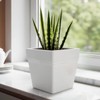 6-Pack 7'' Square Planters with Self-Watering Design – Heavy-Duty Plastic
