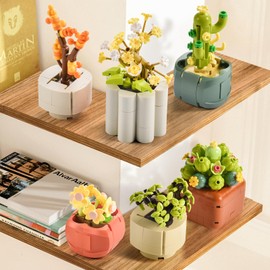 BNG Succulent Flowers Building Set,Adult Botanical Collection for Office Home Decor,Plants Bonsai Building Toys and Great Gift for Girls Women(520 Pieces)
