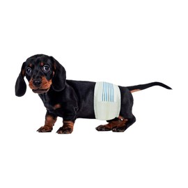 BV Dog Diapers Male Small (Waist 12-19in) Super Absorbent - 50 Count Disposable - Doggie Diapers with Wetness Indicator - Adjustable Male Dog Wraps - Ideal for Incontinence/Training