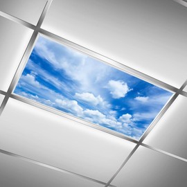 2Pcs Fluorescent Light Covers, Beautiful Clouds Magnetic Light Shield for Classroom Office Home, 2 x 4 ft