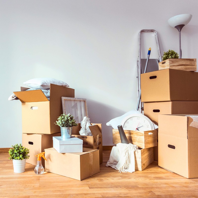 BOX USA BNP2030MS Newsprint Packing Paper Sheets for Moving (50