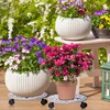 2pcs Heavy Duty Cast Iron Flowerpot Holder Plant Caddy 11