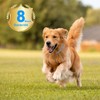 2Pcs Collares para Perros, Collar Impermeable, Cuello Ajustable (27.5in/70cm)