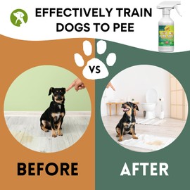 OAIEGSD 16oz Keep Your Home Clean by Managing Dog Marking with This Effective Spray