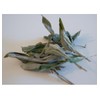 500 g sage leaves whole, sage tea, sage whole, Atlas