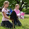 Set di accessori rosa per Hobby Horse e cavallo stick: