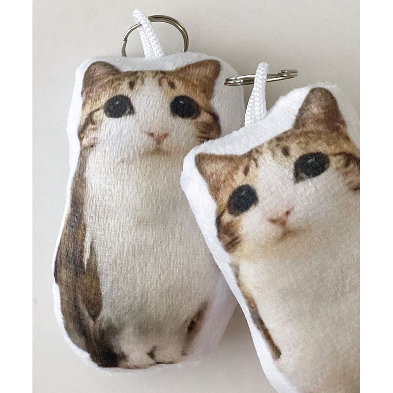 Dederit Funny Sounding Song Sound Cat Owl Plush Keyring