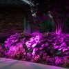 T-SUN [2 Pack] LED Solar Spotlights, Waterproof Outdoor Security Landscape