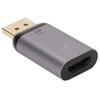 DP DisplayPort Input Male to HD Sink Output Female Displays